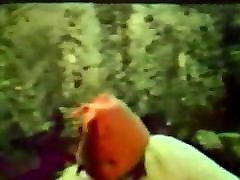 Projections speciales 1976