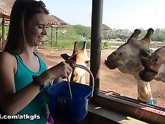 Jill steep brother xvideos in Virtual Vacation Movie - ATKGirlfriends