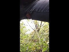 писает на дерево