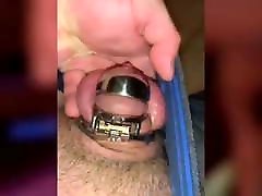 сидящий в клетке кук наблюдает как его жена развлекается