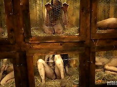 Rabbit Hutch