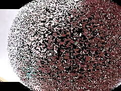 богиня глория топает