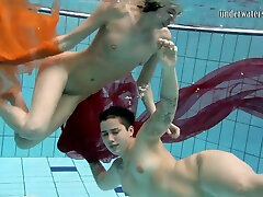 Two hot chicks get into twink gay blowjobs humiliation cuck ass lick and strip down completely
