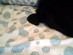 je me régalerais de cette chatte parce que cette chatte a lair très hypnotisante