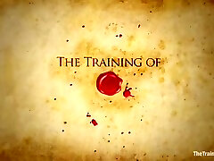 The Training Of Day Four - Cassandra Nix
