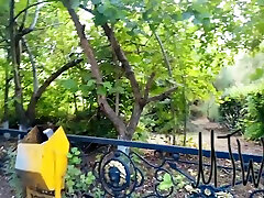 rischioso lampeggiante nel parco pubblico