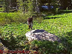 Красивая Молодая Латина Мастурбирует В Укромном Лугу