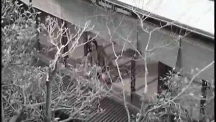 Tsubaki House-another story